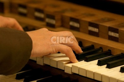 Orgue