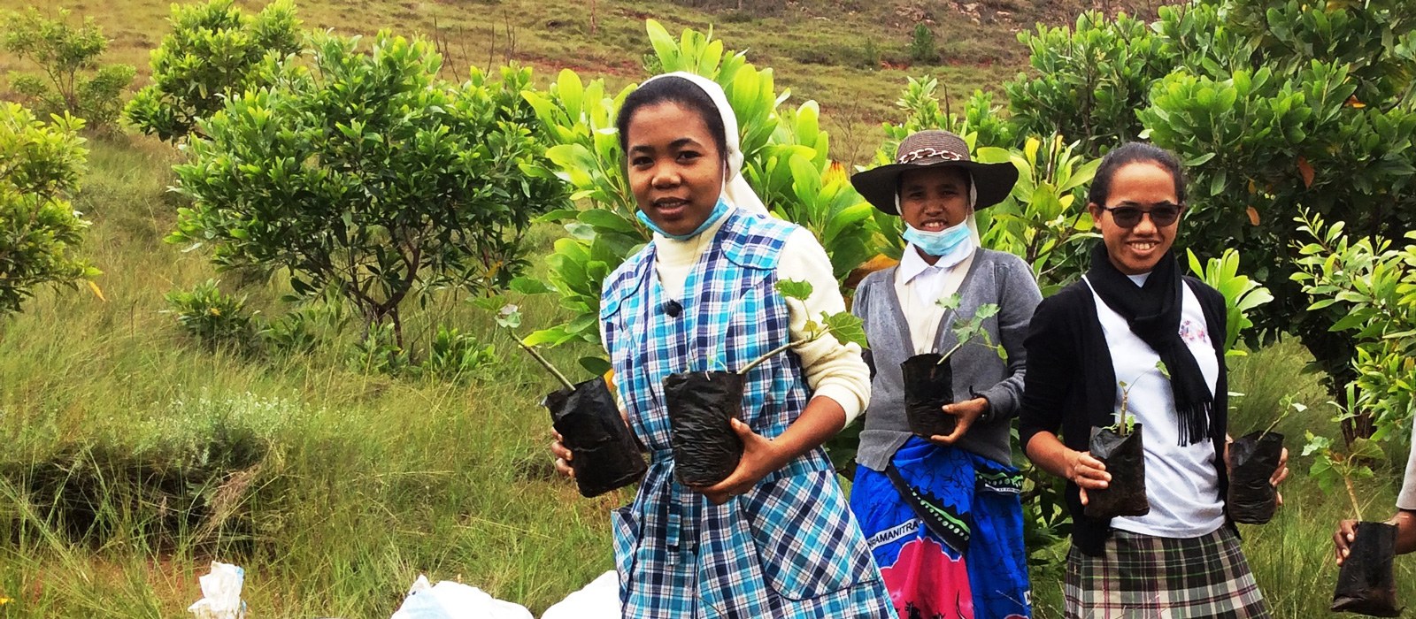 1-fitsipi-piainana-35-1