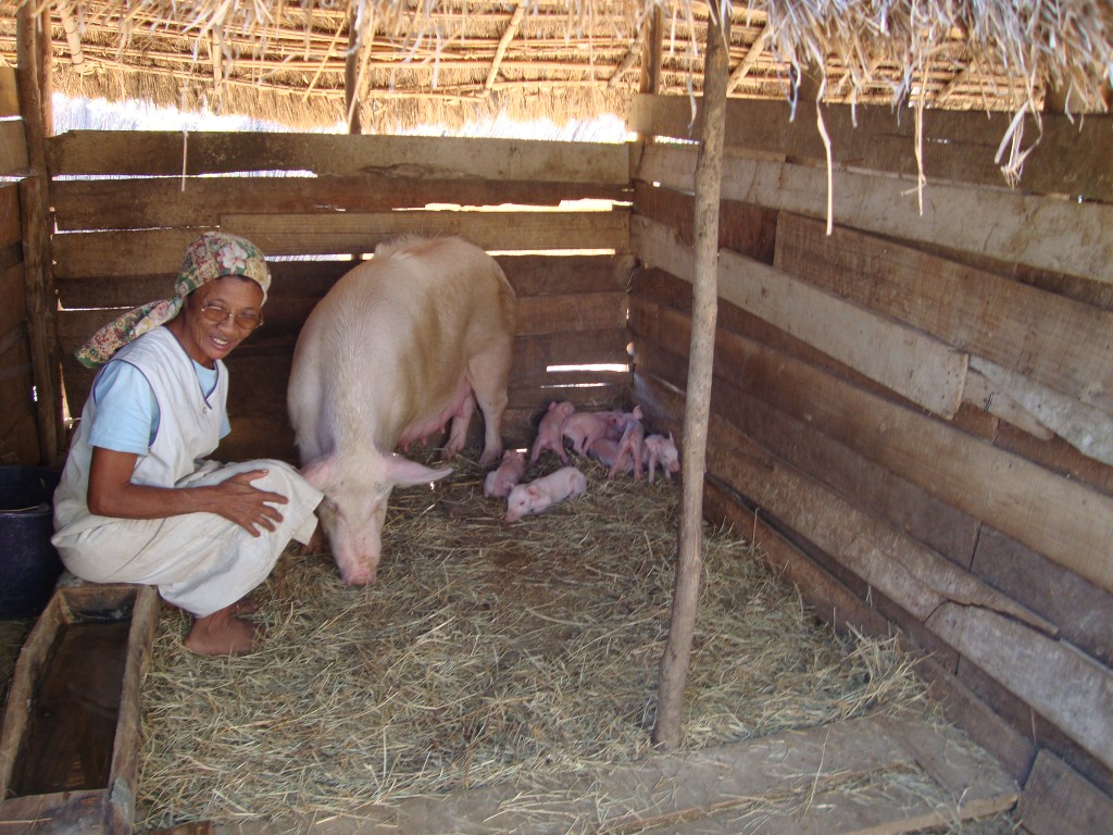 Jeanne Margueritte.JPG