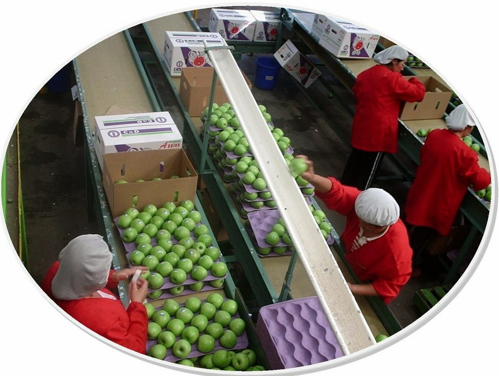 travail saisonniers (Copier).jpg